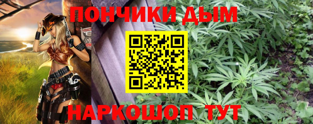Каннабис сатива  Бошки Шишки MAZAR  Канабис MAZAR  Кудрово  Вход с VPN 
